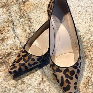 Calvin Klein Leopard Kitten Heel Pumps